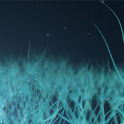 Neurodevelopmental disorders