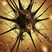 Neuromuscular disorders