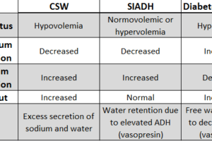 siadh, csw, diabetes insipidus