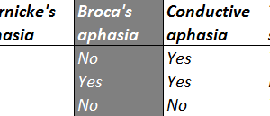 expressive aphasia classification